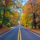 Illustration for article titled 48 Photos Of Autumn Around The World